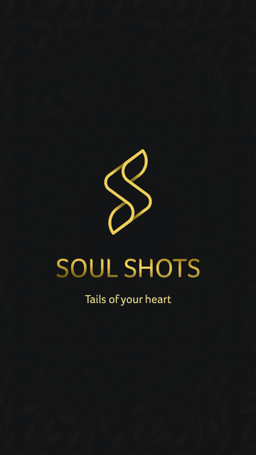 Soul Shots splash screen